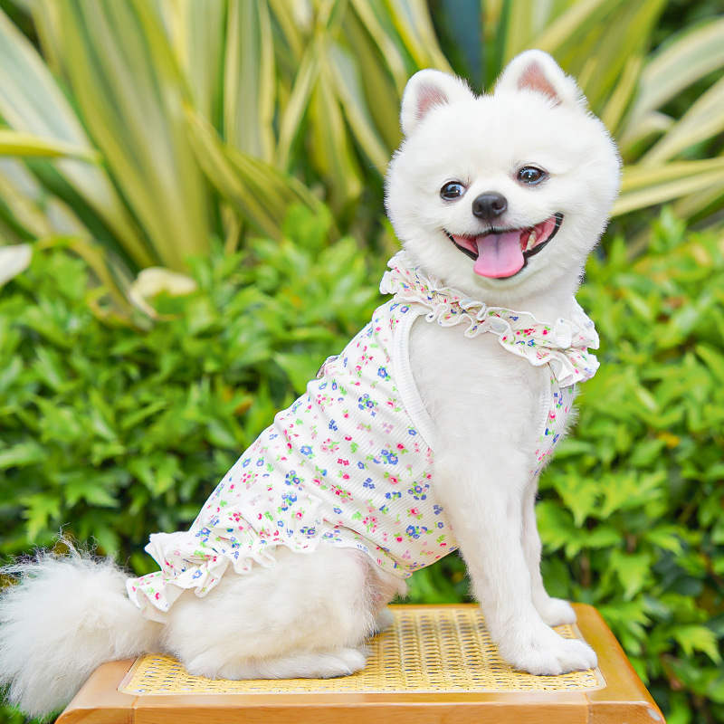 Fashion Floral Dog Dress Dog S - Summer Loving Clothing recension och pris