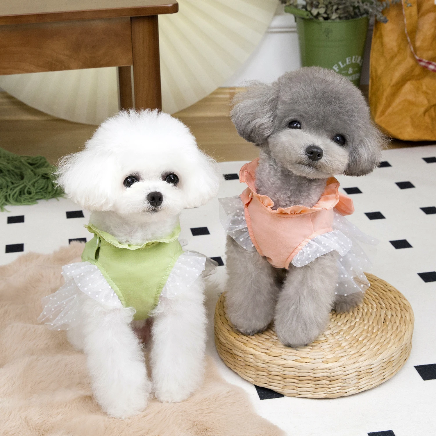 Cute Dog Summer Dress Cat Lace - Summer Loving Clothing recension och pris