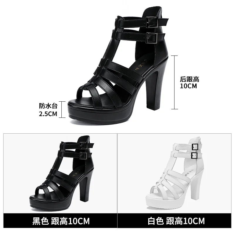 Gladiator Ladies Shoe for Wome - Summer Clothing Dress recension och pris